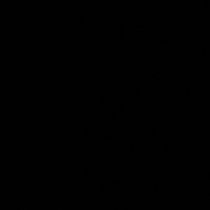 Meet your Posher, Puneet